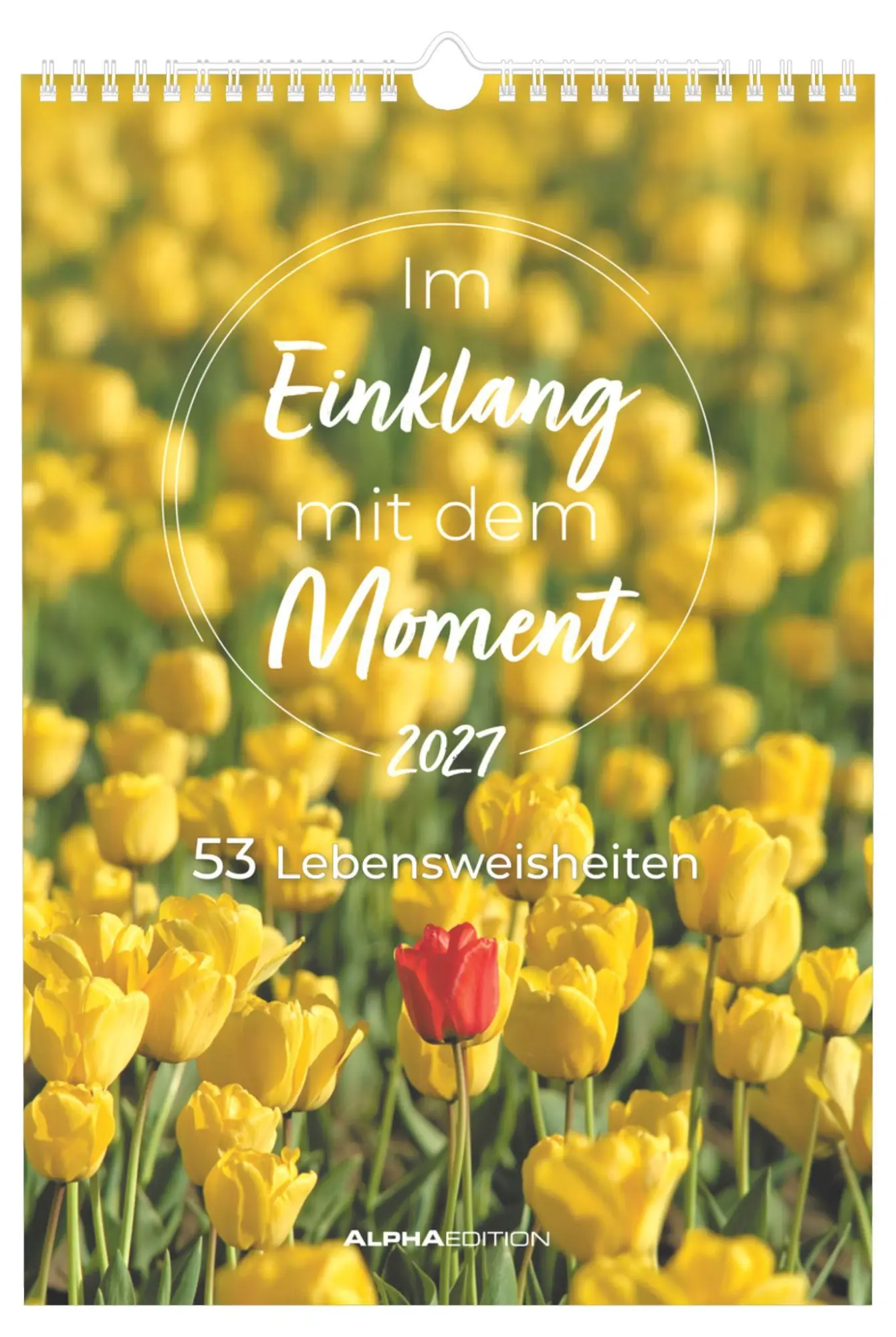 Cover: 4069095016897 | Im Einklang mit dem Moment - 53 Lebensweisheiten 2027 | KG | Kalender
