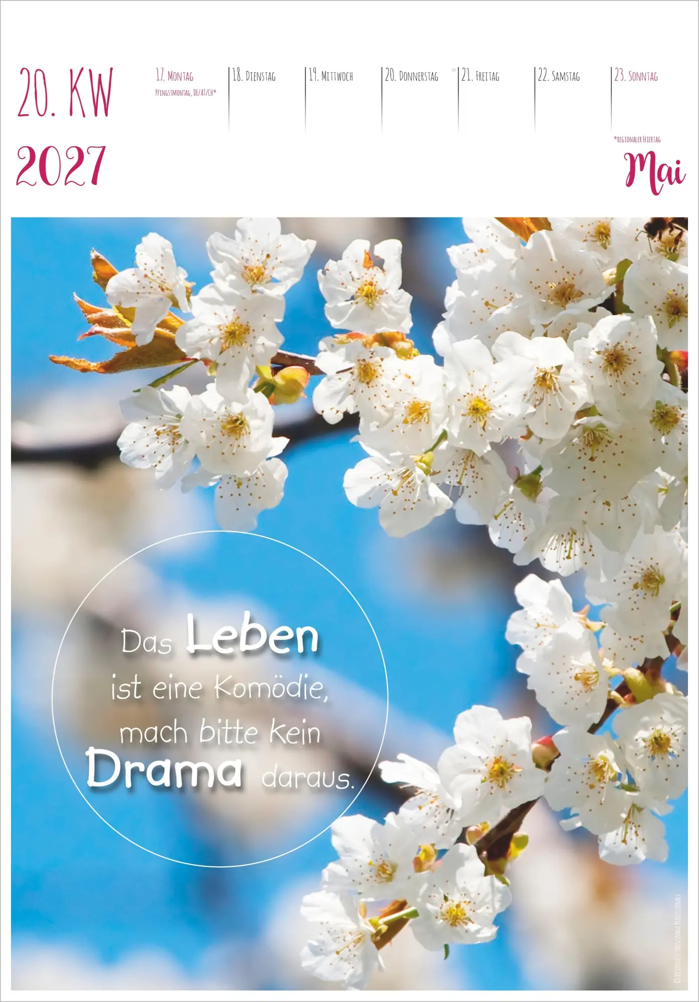 Bild: 4069095016897 | Im Einklang mit dem Moment - 53 Lebensweisheiten 2027 | KG | Kalender