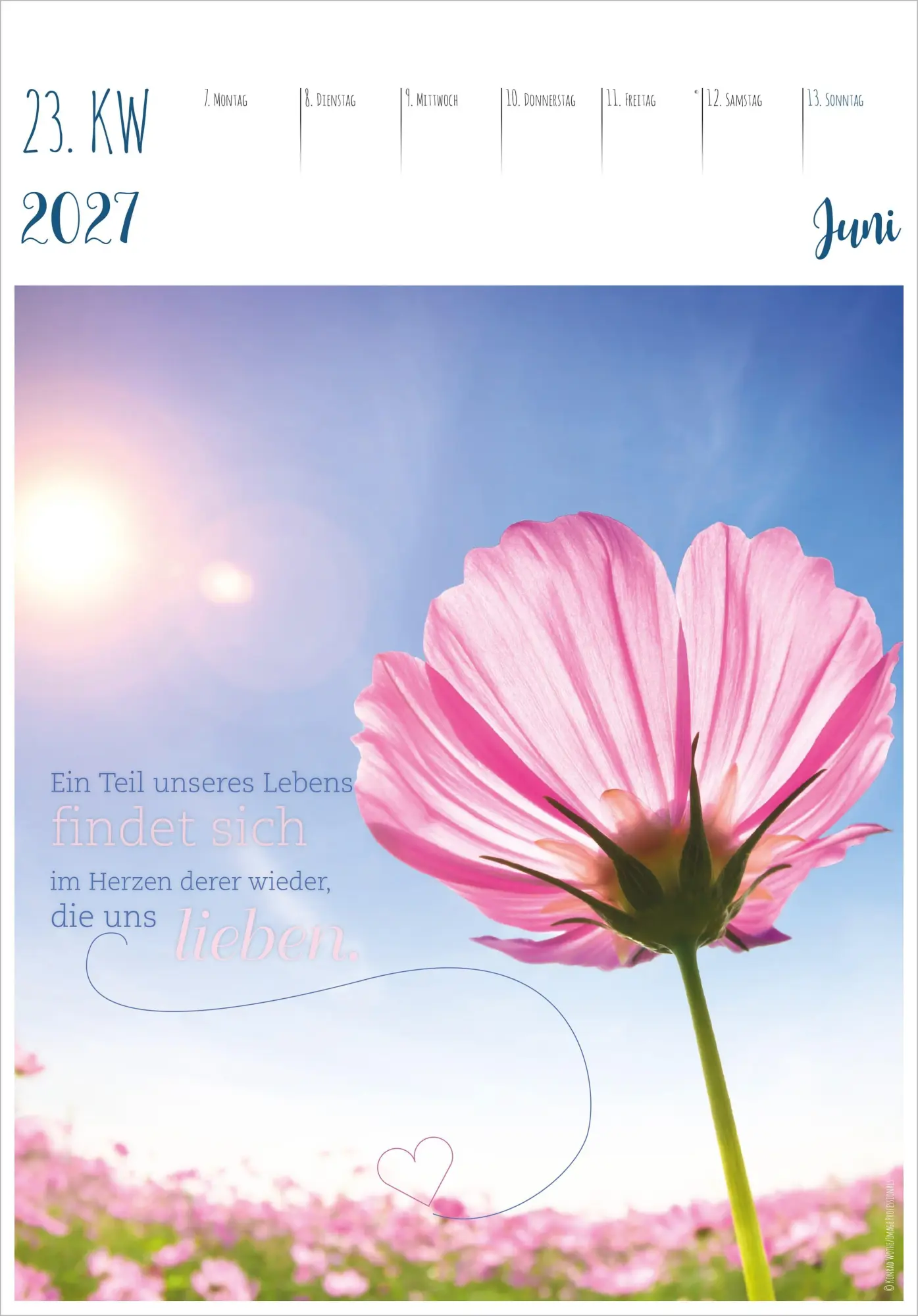 Bild: 4069095016897 | Im Einklang mit dem Moment - 53 Lebensweisheiten 2027 | KG | Kalender