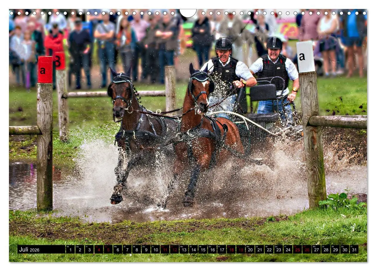 Bild: 9783457836897 | Fahrpferde in Aktion (Wandkalender 2026 DIN A3 quer), CALVENDO...