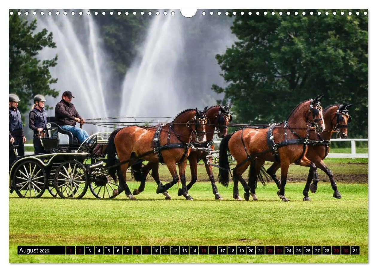 Bild: 9783457836897 | Fahrpferde in Aktion (Wandkalender 2026 DIN A3 quer), CALVENDO...