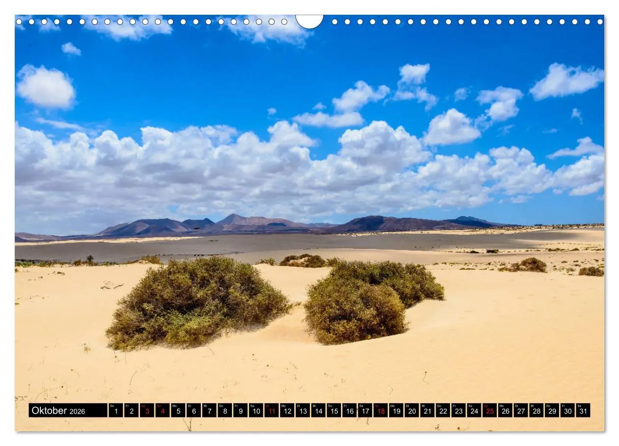 Bild: 9783516236897 | Fuerteventura - Hart am Wind (Wandkalender 2026 DIN A3 quer),...