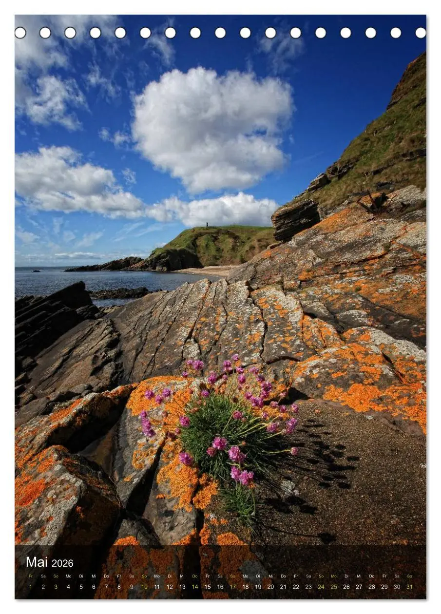 Bild: 9783516476897 | Traumhaftes Schottland (Tischkalender 2026 DIN A5 hoch), CALVENDO...