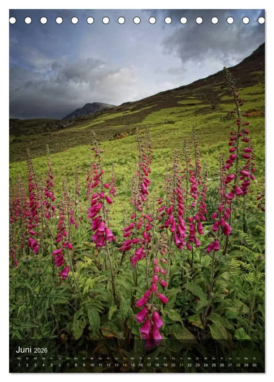Bild: 9783516476897 | Traumhaftes Schottland (Tischkalender 2026 DIN A5 hoch), CALVENDO...