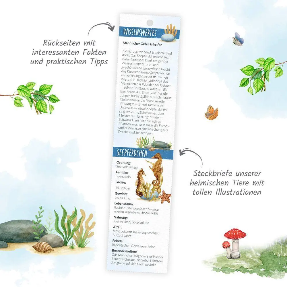 Bild: 9783988026897 | TRÖTSCH - Streifenkalender Mini Heimische Tierwelt 2027 | KG | 24 S.
