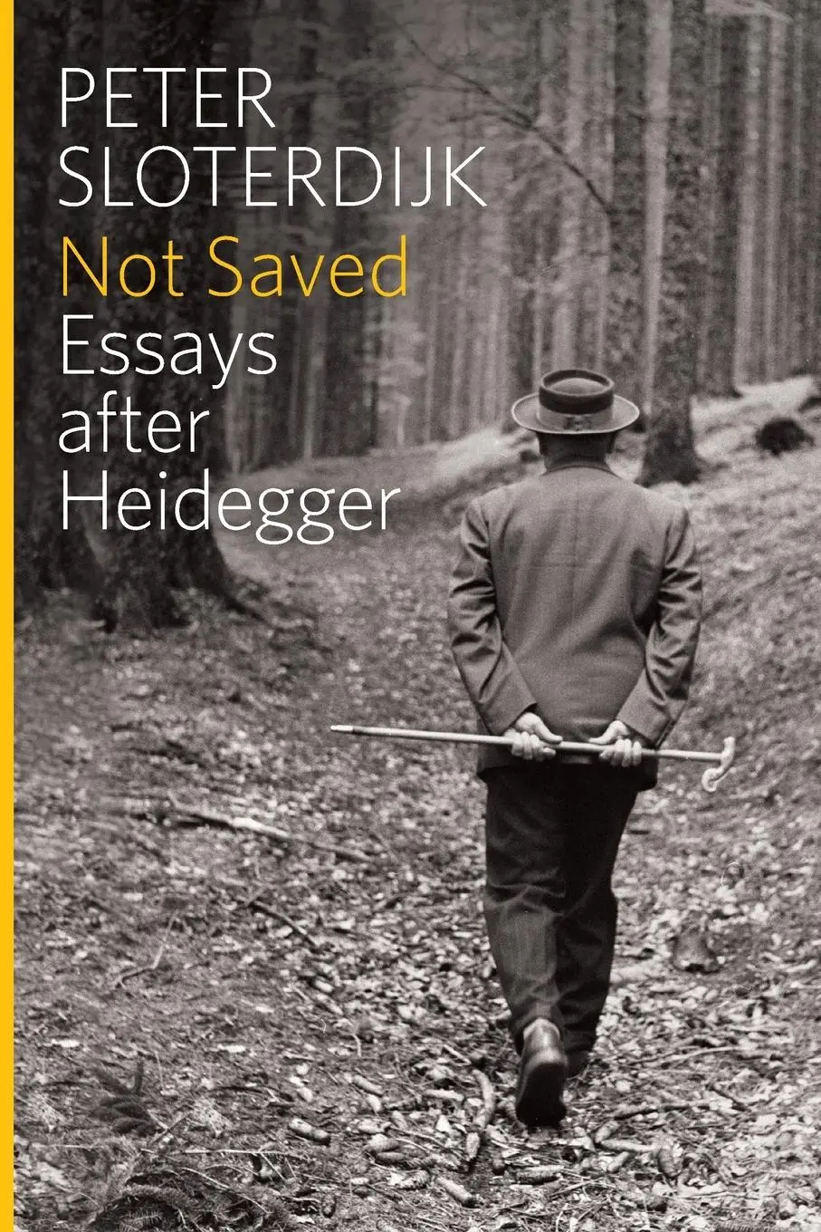 Cover: 9780745696997 | Not Saved | Essays After Heidegger | Peter Sloterdijk | Taschenbuch