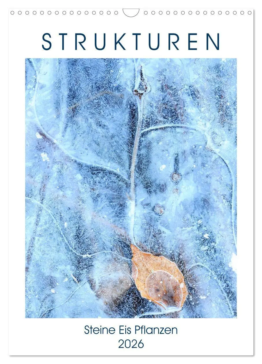 Cover: 9783516396997 | Strukturen - Steine, Eis, Pflanzen (Wandkalender 2026 DIN A3 hoch),...