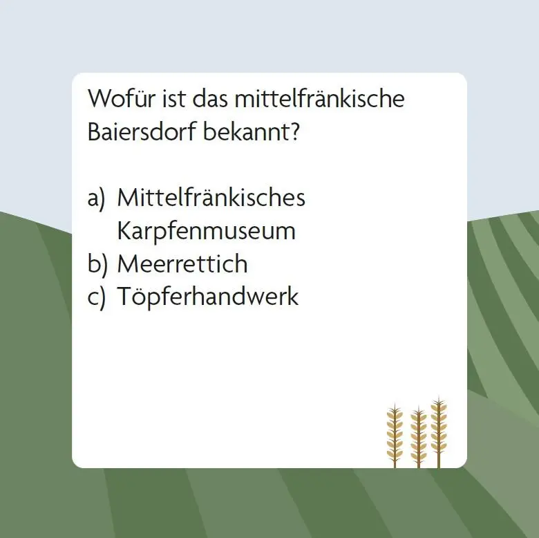 Bild: 9783747206997 | Das Franken-Quiz (Neuausgabe) | Johannes Wilkes | Spiel | 66 S. | 2025