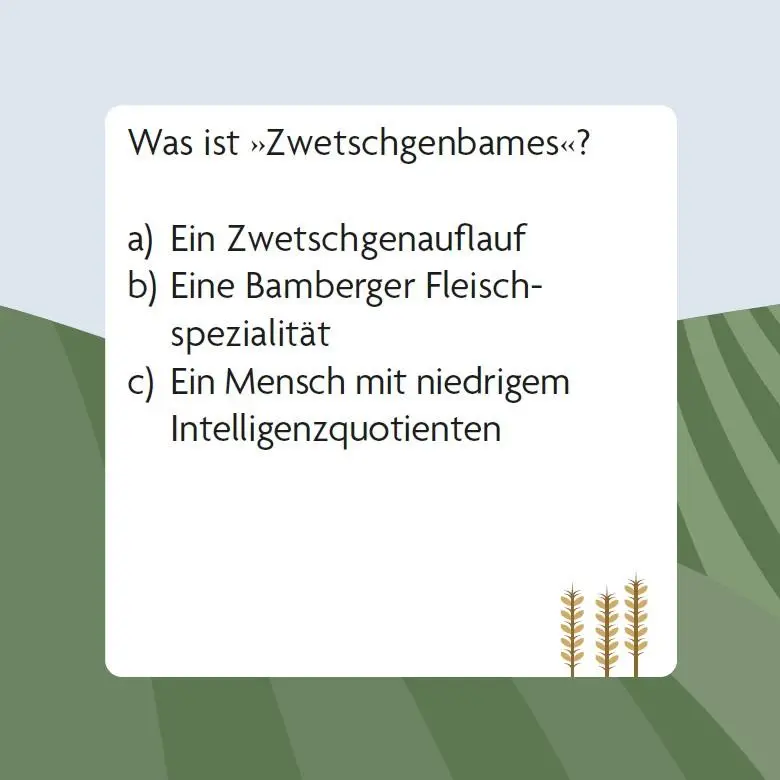 Bild: 9783747206997 | Das Franken-Quiz (Neuausgabe) | Johannes Wilkes | Spiel | 66 S. | 2025