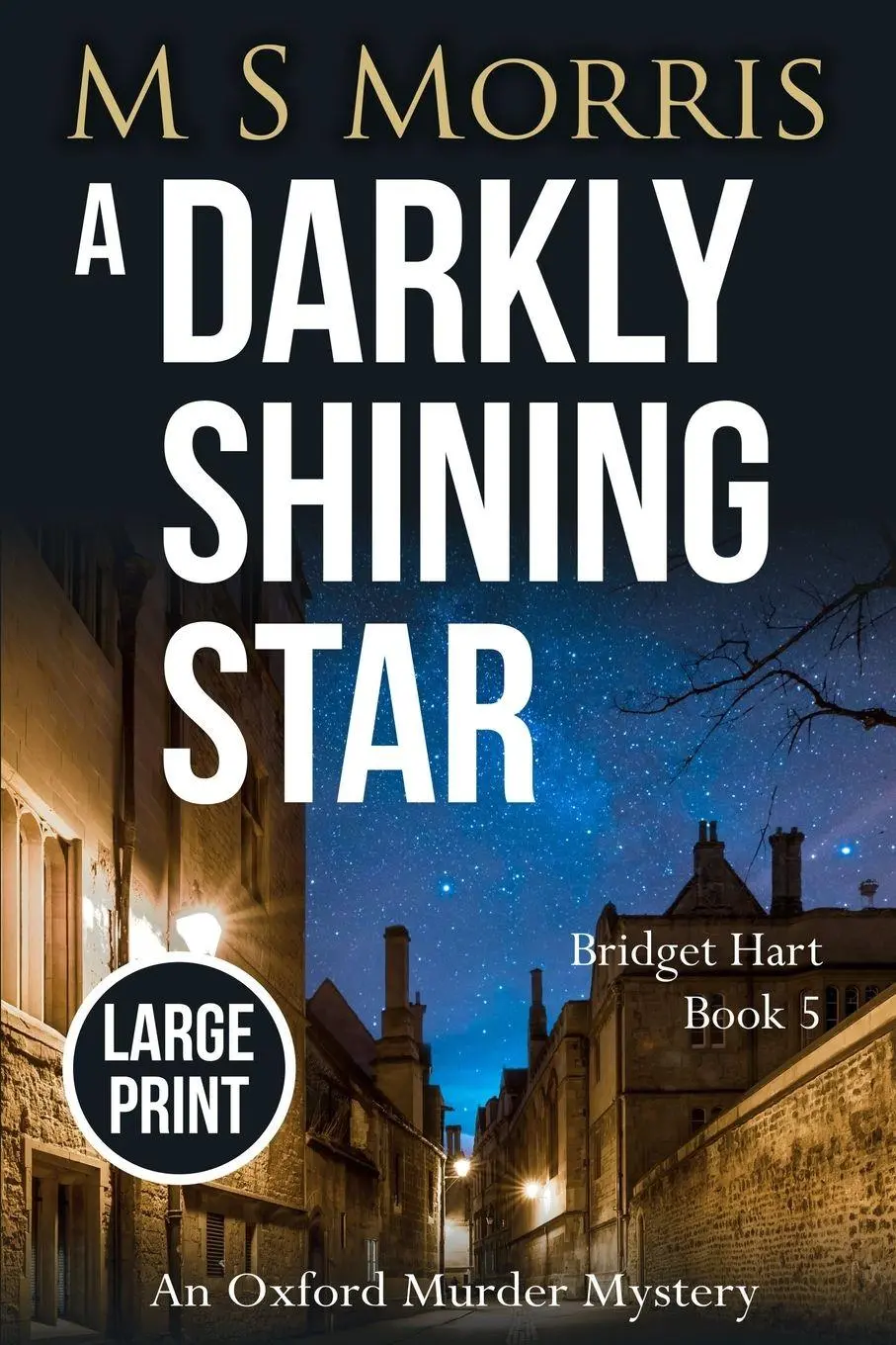 Cover: 9781914537097 | A Darkly Shining Star (Large Print) | An Oxford Murder Mystery | Buch