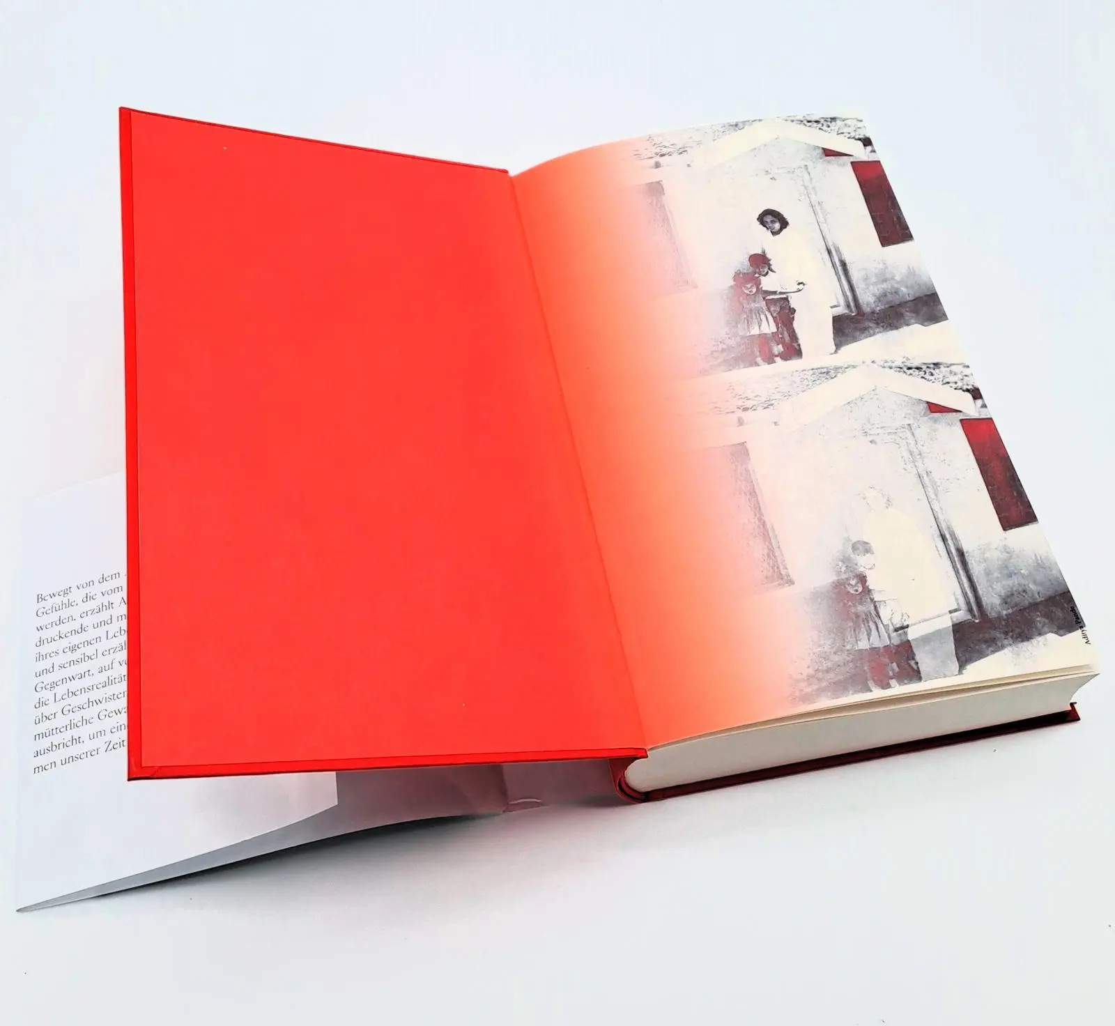Bild: 9783103977097 | Meine Zuflucht und mein Sturm | Arundhati Roy | Buch | 368 S. | 2025