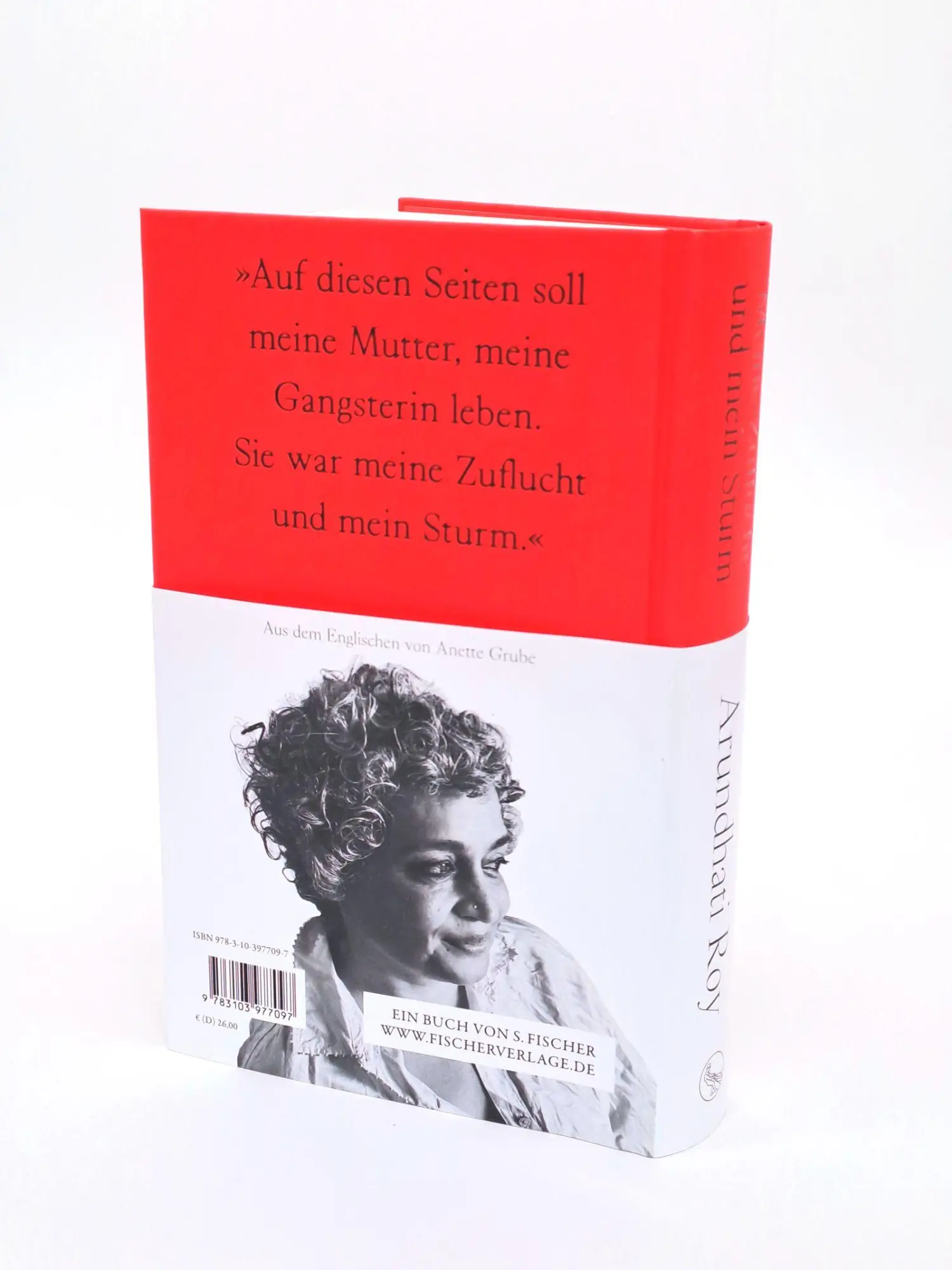 Bild: 9783103977097 | Meine Zuflucht und mein Sturm | Arundhati Roy | Buch | 368 S. | 2025