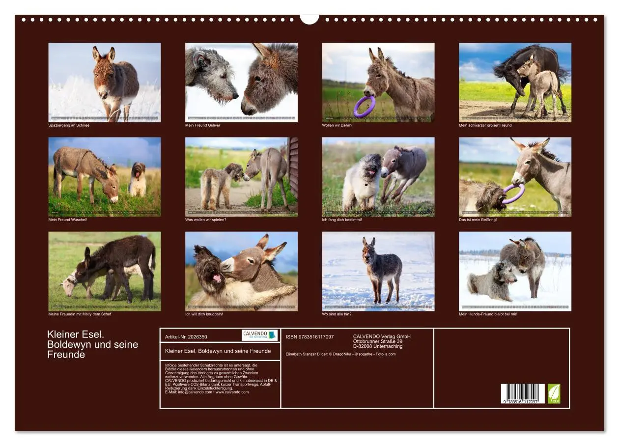 Bild: 9783516117097 | Kleiner Esel. Boldewyn und seine Freunde (Wandkalender 2026 DIN A2...