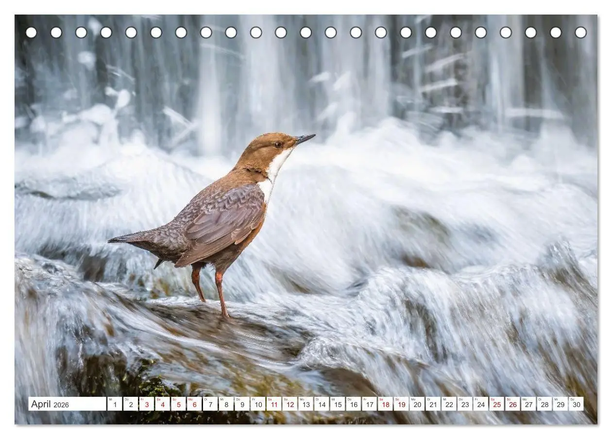 Bild: 9783516667097 | Die RHÖN: Faszinierende Berge und lebendige Bäche (Tischkalender...