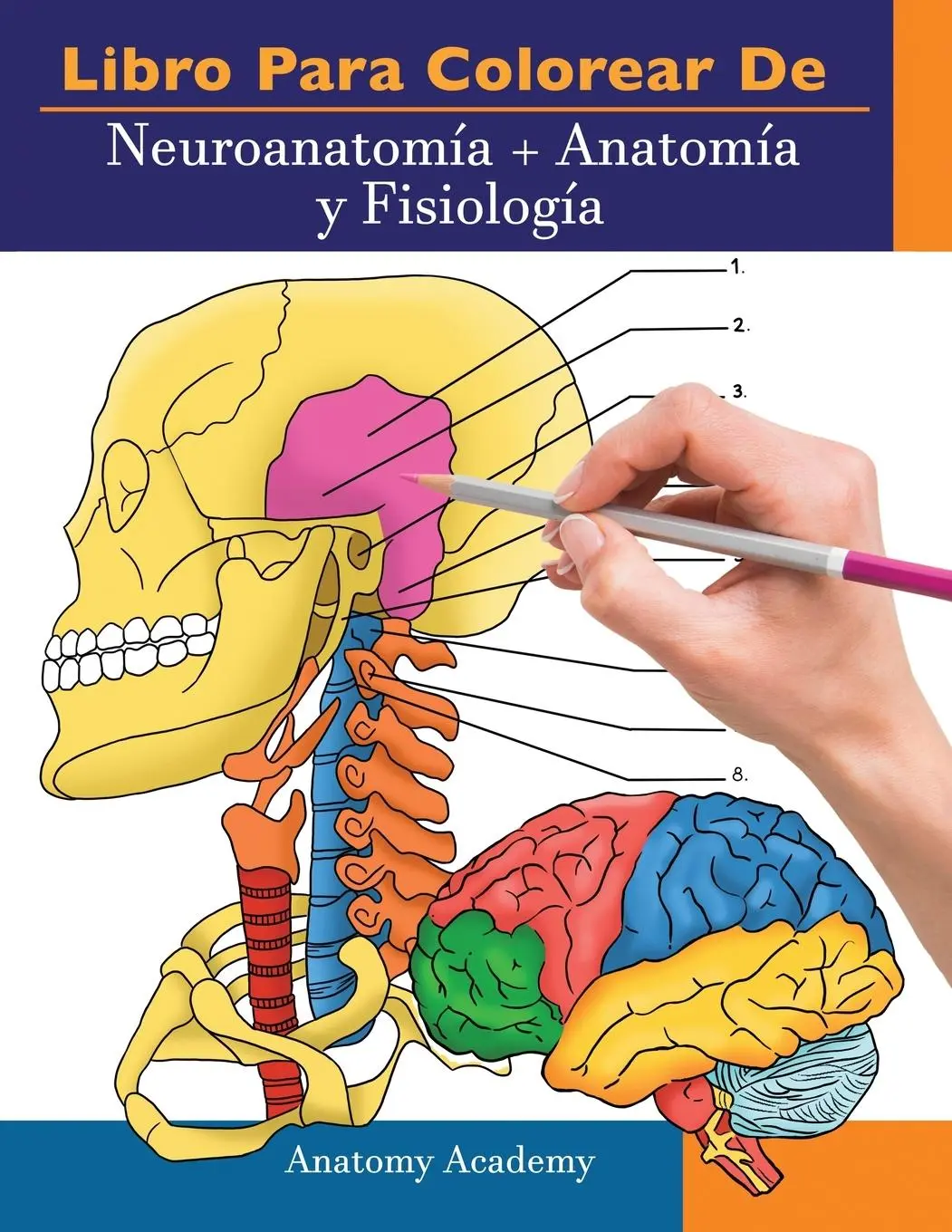 Cover: 9781914207297 | Libro para colorear de Neuroanatomía + Anatomía y Fisiología | Academy