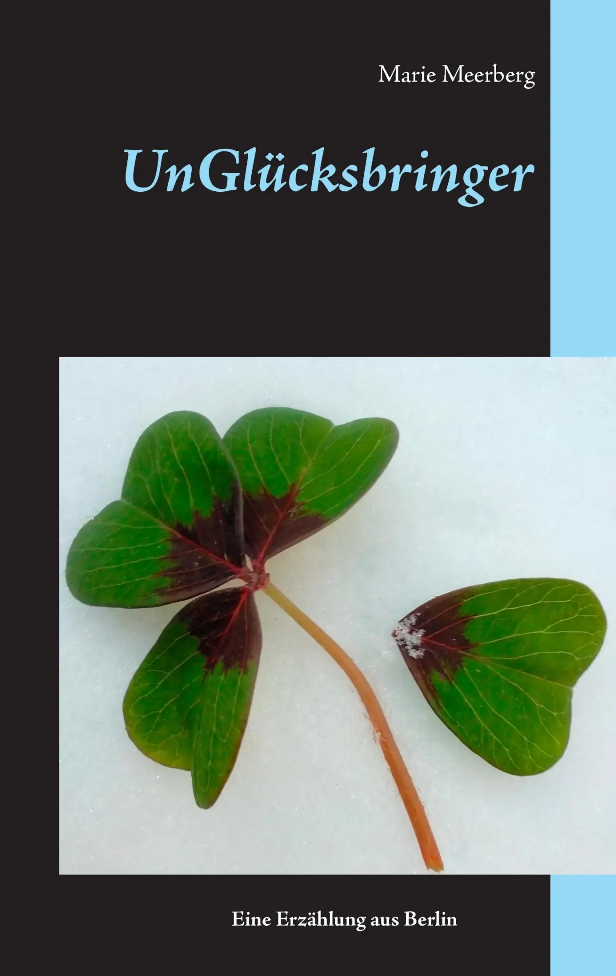 Cover: 9783744897297 | Unglücksbringer | Marie Meerberg | Taschenbuch | 80 S. | Deutsch