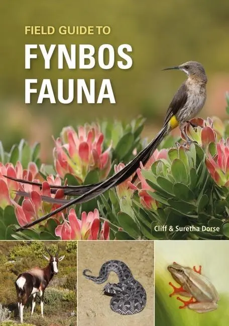 Cover: 9781775847397 | Field Guide to Fynbos Fauna | Cliff Dorse (u. a.) | Taschenbuch | 2023