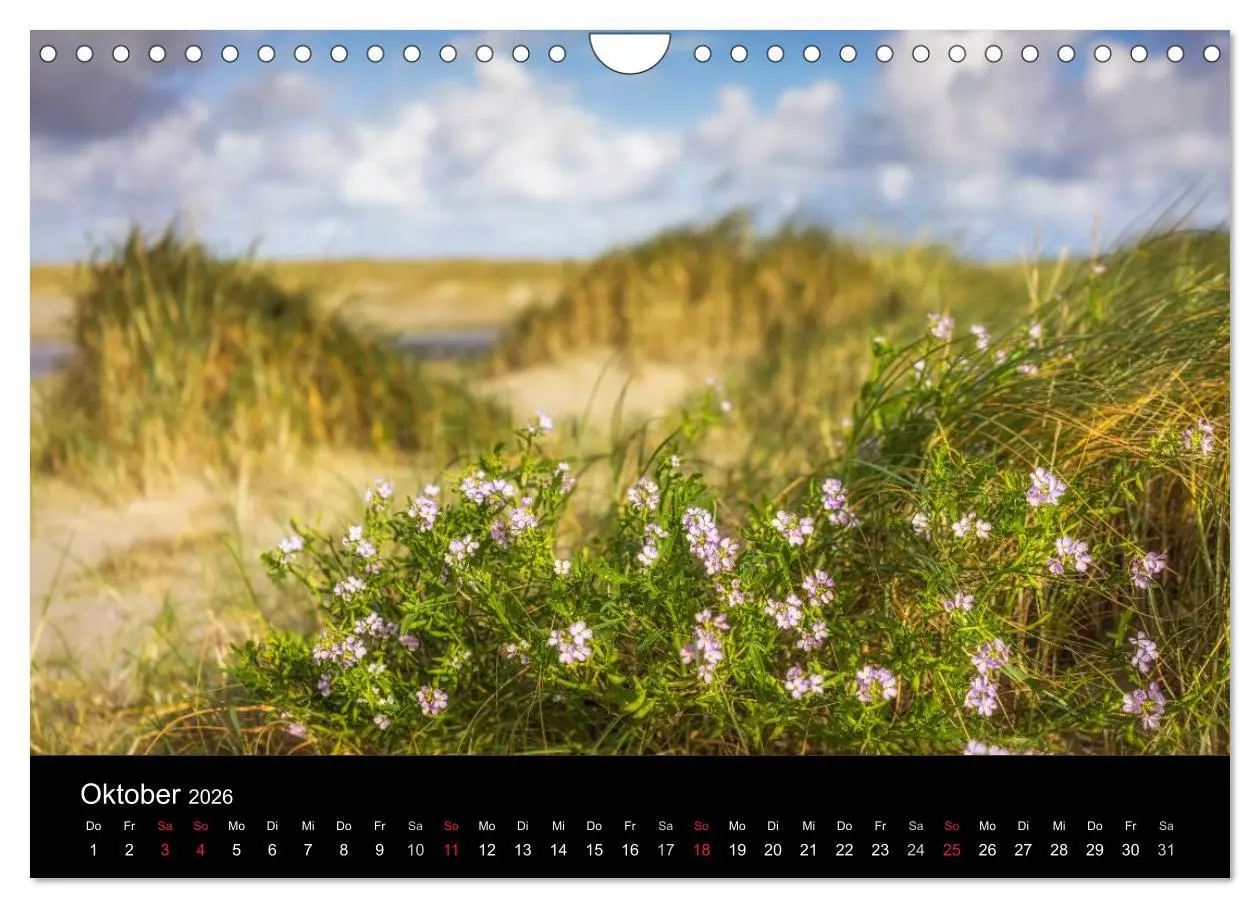 Bild: 9783516017397 | Fanø - Meine Insel (Wandkalender 2026 DIN A4 quer), CALVENDO...