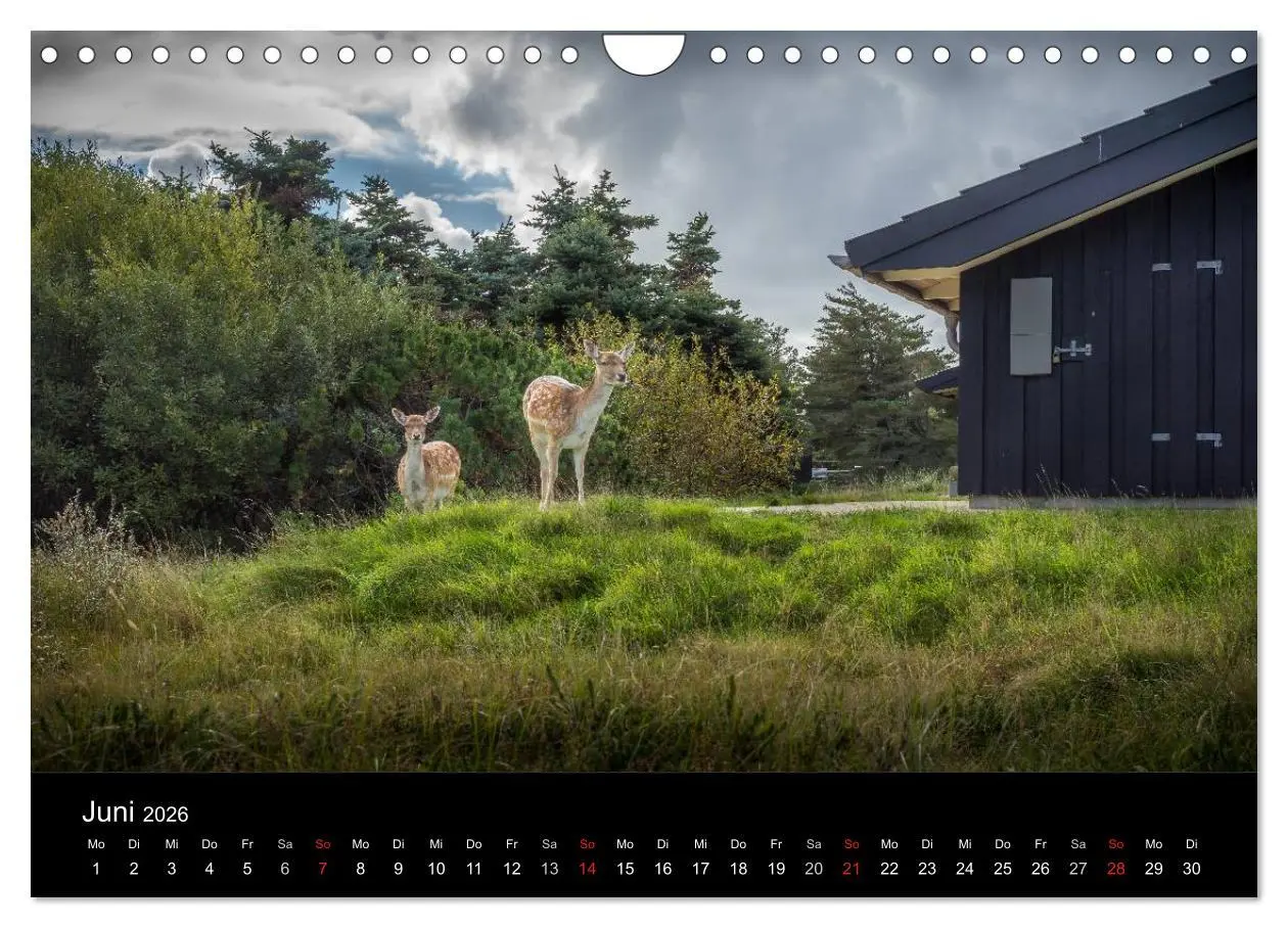 Bild: 9783516017397 | Fanø - Meine Insel (Wandkalender 2026 DIN A4 quer), CALVENDO...