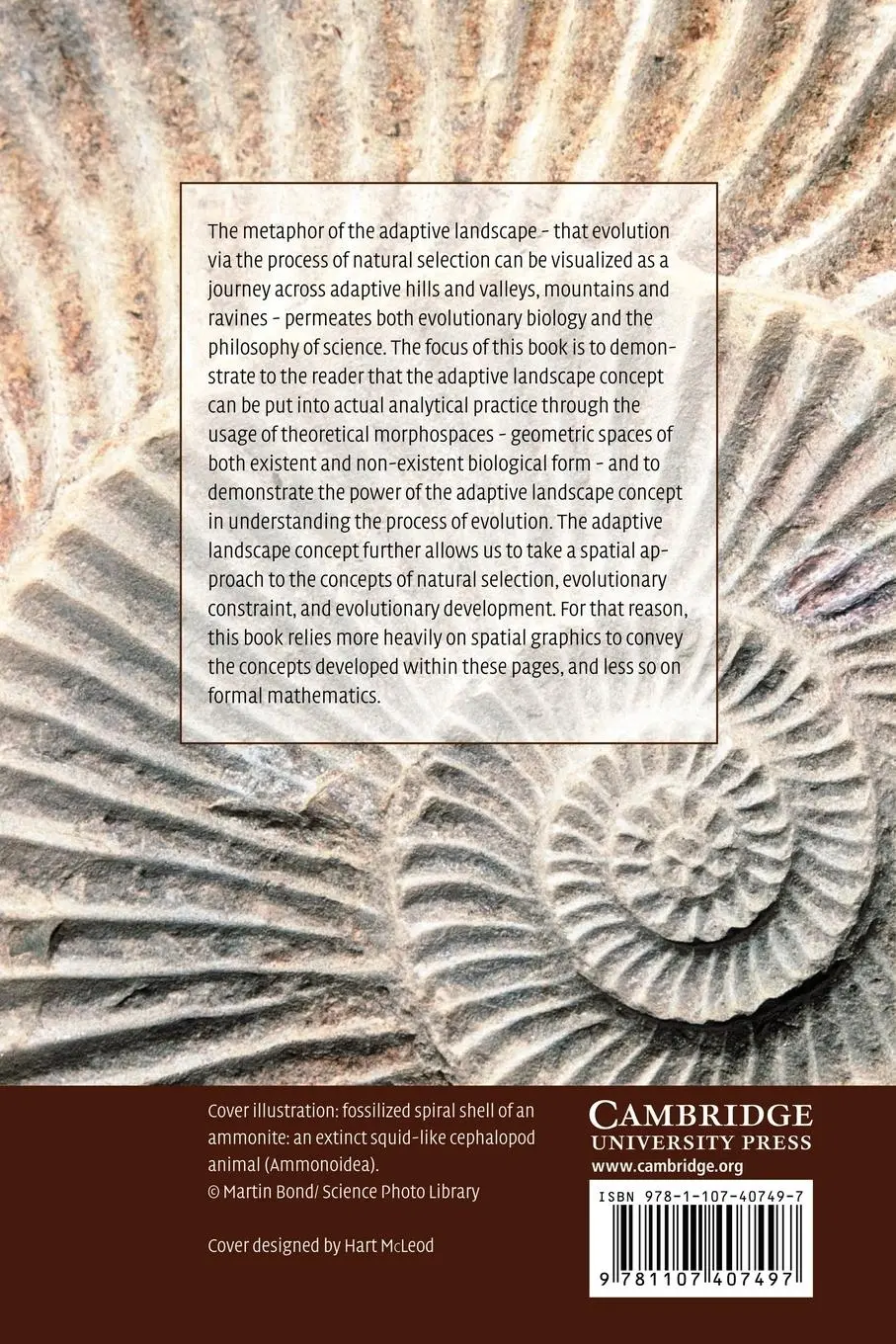 Rückseite: 9781107407497 | The Geometry of Evolution | George R. Jr. McGhee | Taschenbuch | 2012
