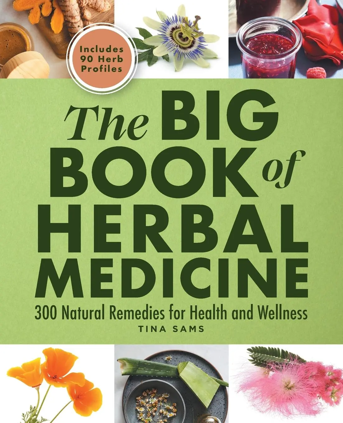 Cover: 9781638077497 | The Big Book of Herbal Medicine | Tina Sams | Taschenbuch | Englisch