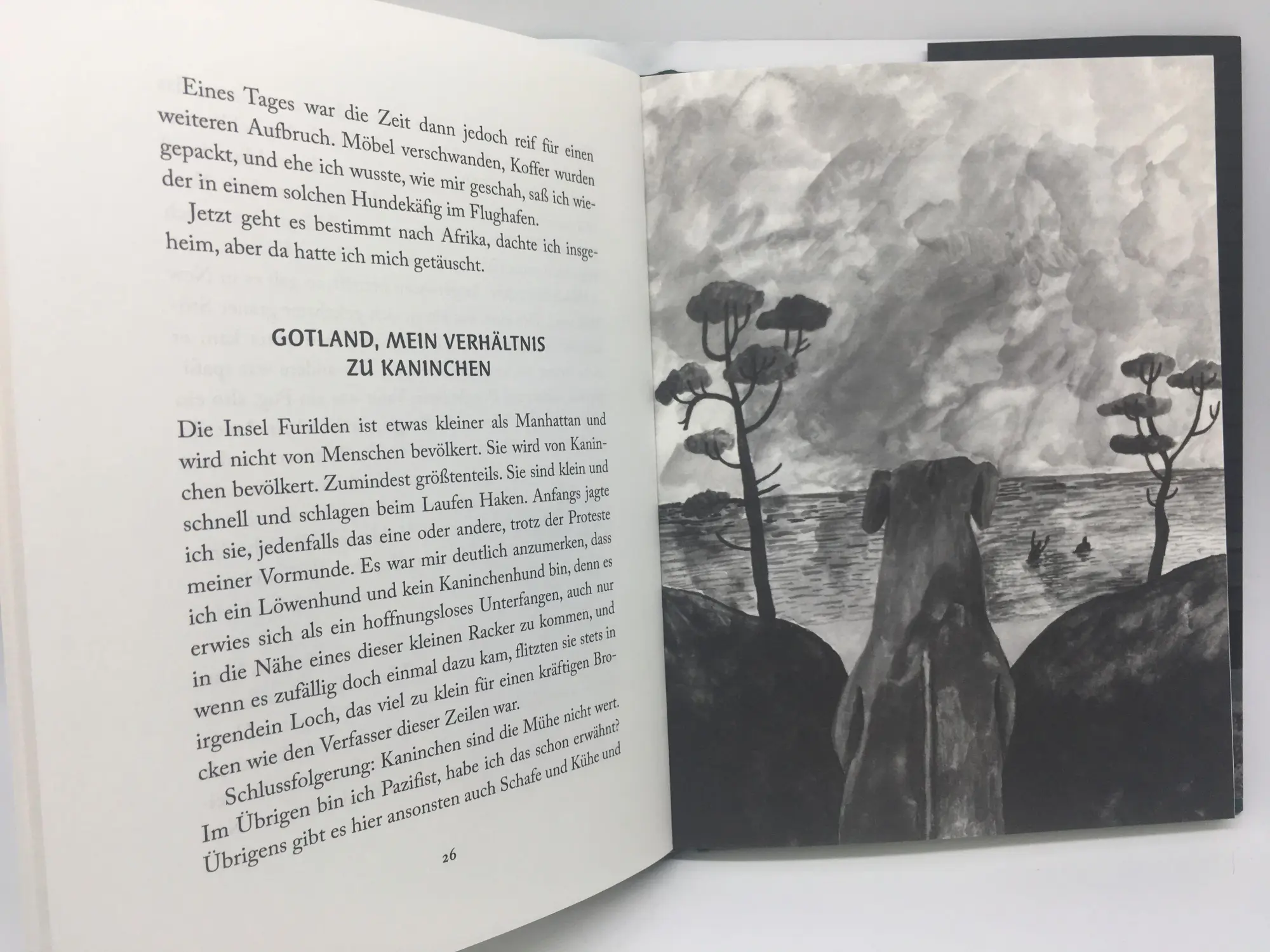 Bild: 9783442757497 | Nortons philosophische Memoiren | Håkan Nesser | Buch | 96 S. | 2018