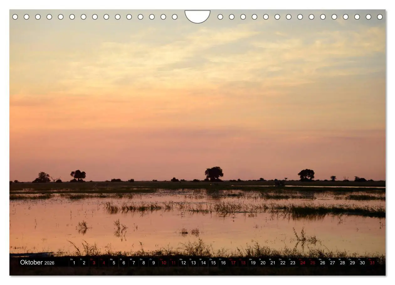 Bild: 9783457907597 | Faszination Botswana (Wandkalender 2026 DIN A4 quer), CALVENDO...