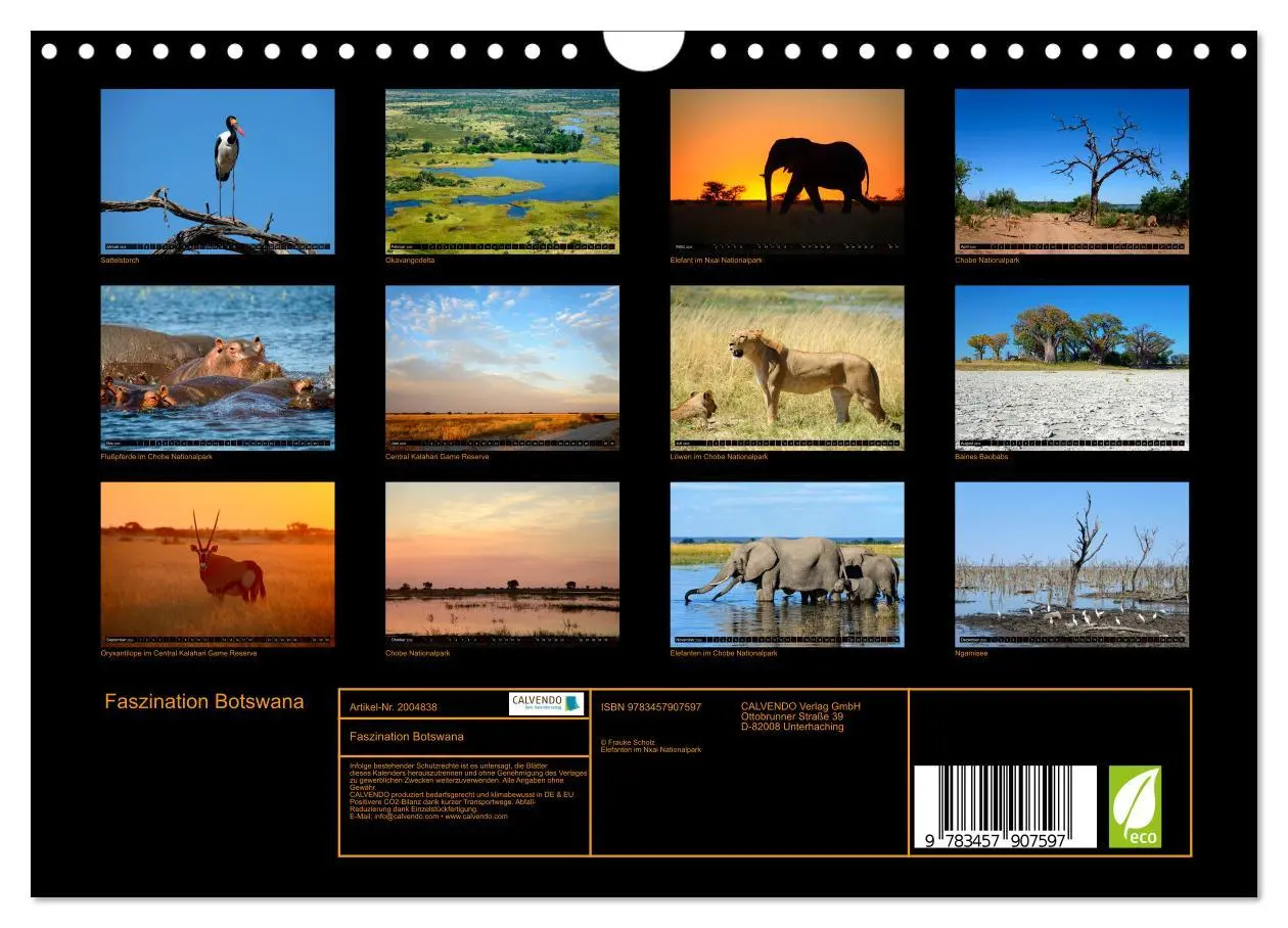 Bild: 9783457907597 | Faszination Botswana (Wandkalender 2026 DIN A4 quer), CALVENDO...