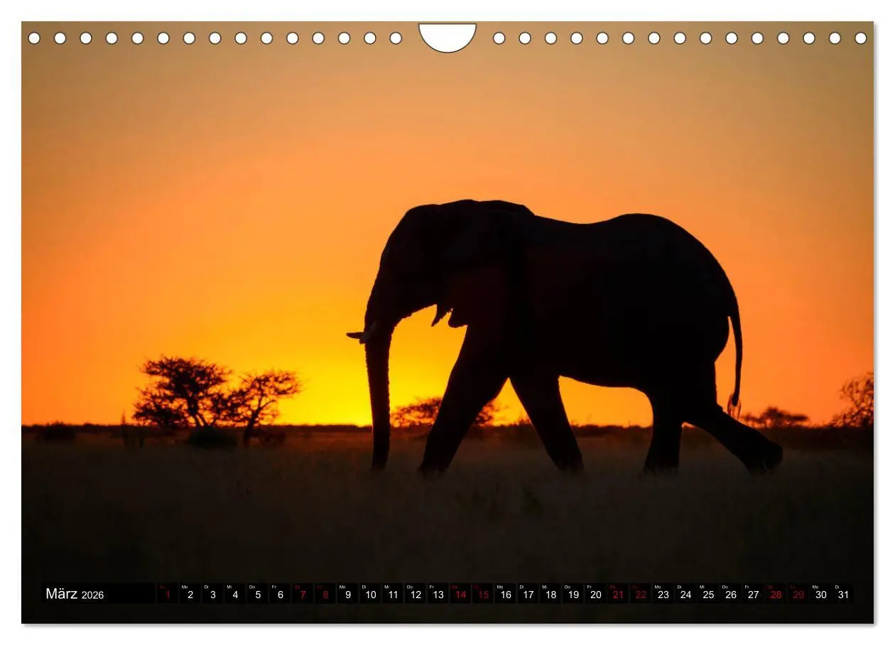 Bild: 9783457907597 | Faszination Botswana (Wandkalender 2026 DIN A4 quer), CALVENDO...