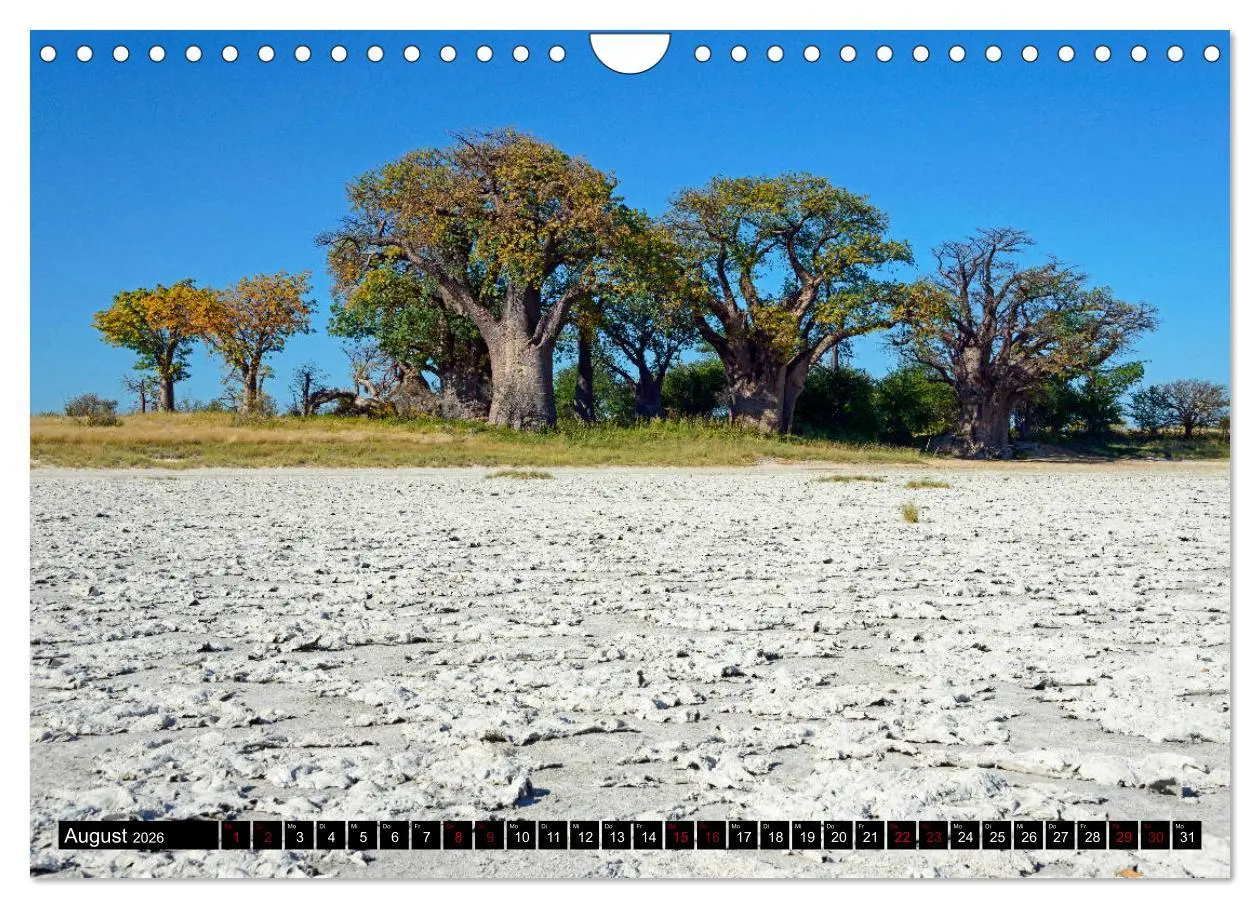 Bild: 9783457907597 | Faszination Botswana (Wandkalender 2026 DIN A4 quer), CALVENDO...