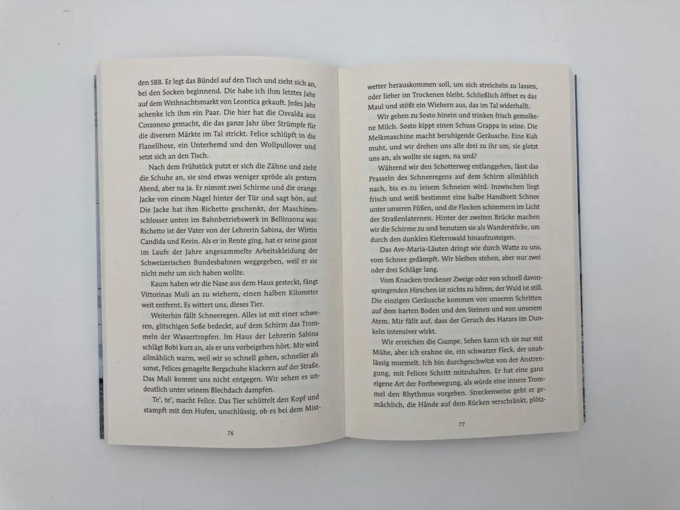 Bild: 9783492317597 | Tage mit Felice | Fabio Andina | Taschenbuch | 240 S. | Deutsch | 2022