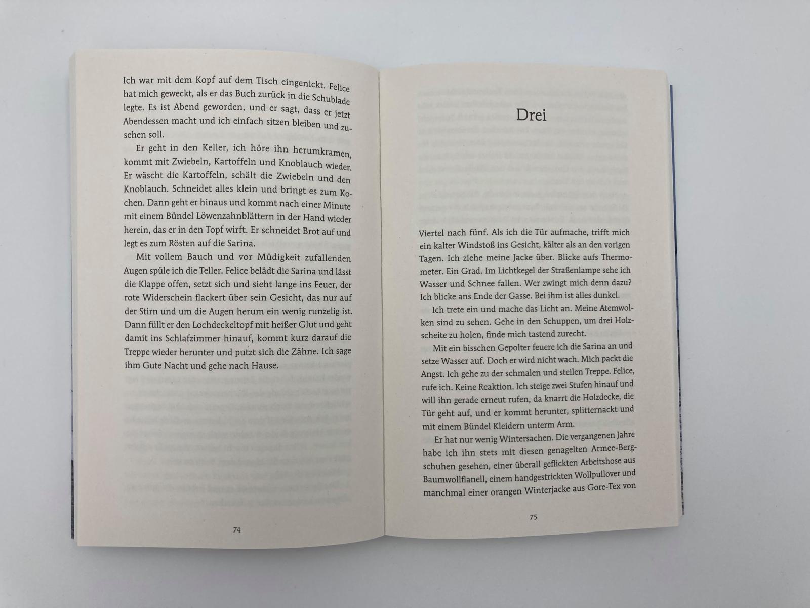 Bild: 9783492317597 | Tage mit Felice | Fabio Andina | Taschenbuch | 240 S. | Deutsch | 2022