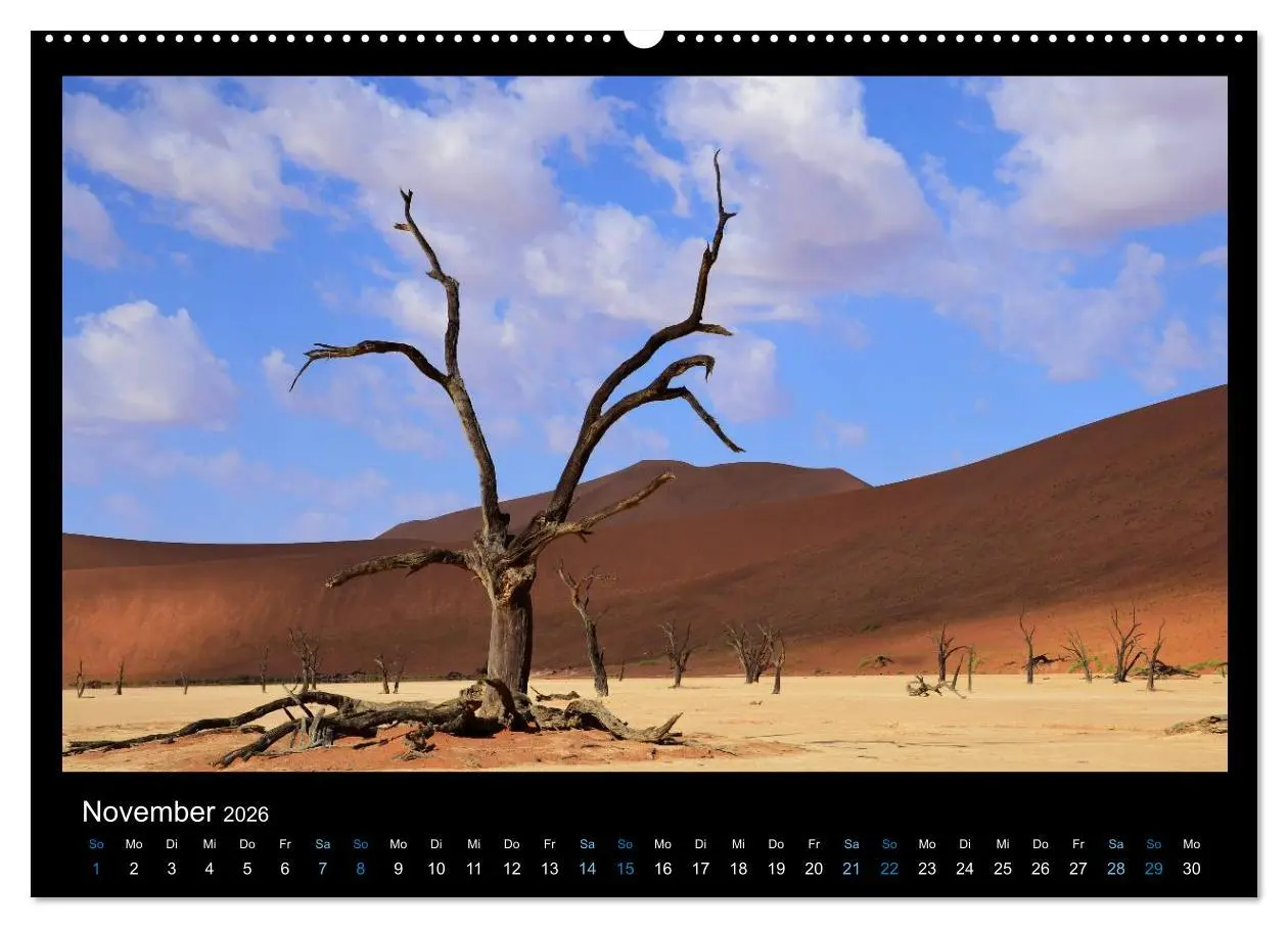 Bild: 9783516167597 | Namibia 2026 Farben der Wüste (Wandkalender 2026 DIN A2 quer),...