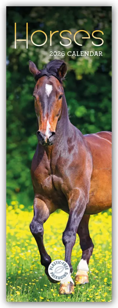 Cover: 9781529847697 | Horses - Pferde 2026 - Slimline-Kalender | Carousel Calendar | 14 S.