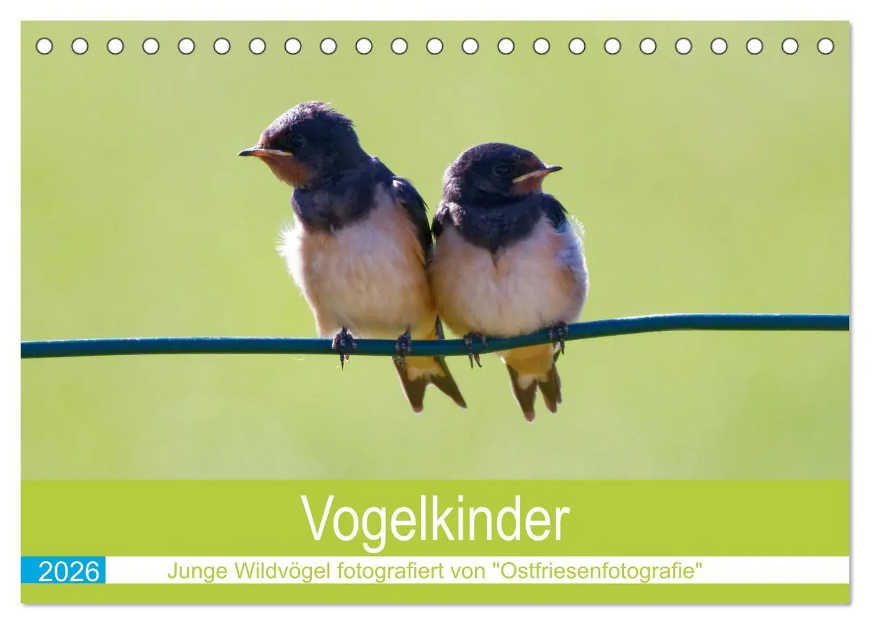 Cover: 9783457447697 | Vogelkinder - Junge Wildvögel (Tischkalender 2026 DIN A5 quer),...