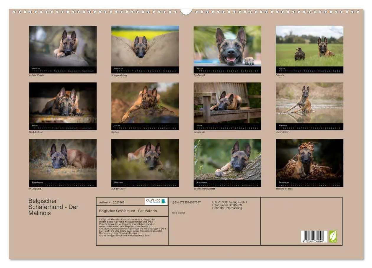 Bild: 9783516087697 | Belgischer Schäferhund - Der Malinois (Wandkalender 2026 DIN A2...