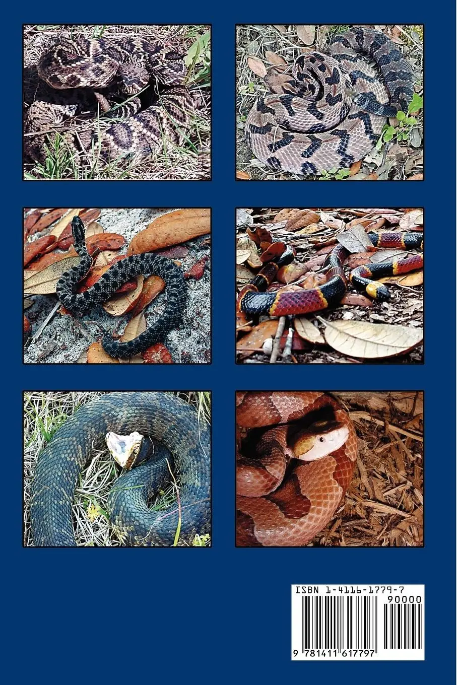 Rückseite: 9781411617797 | Venomous Snakes of the Southeast | Chad Minter | Taschenbuch | 2004