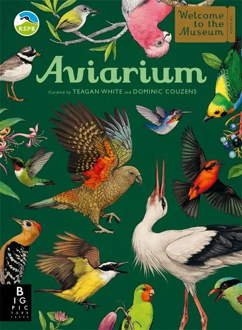 Cover: 9781800787797 | Aviarium | Dominic Couzens | Buch | Big Picture Press | 96 S. | 2026