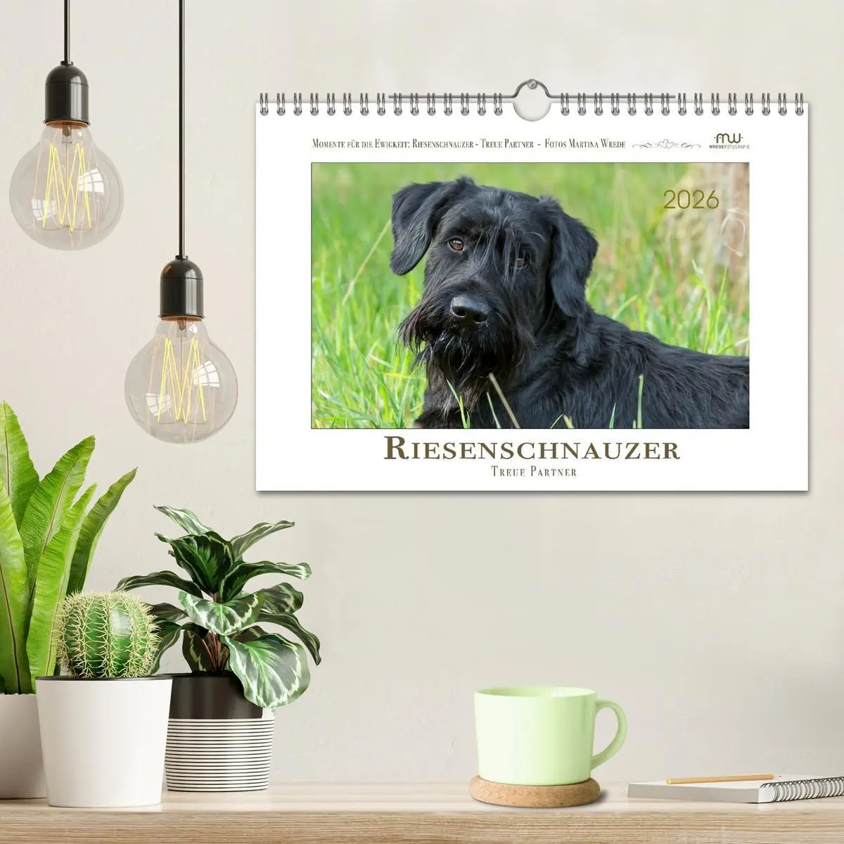 Bild: 9783457297797 | Riesenschnauzer - Treue Partner (Wandkalender 2026 DIN A4 quer),...