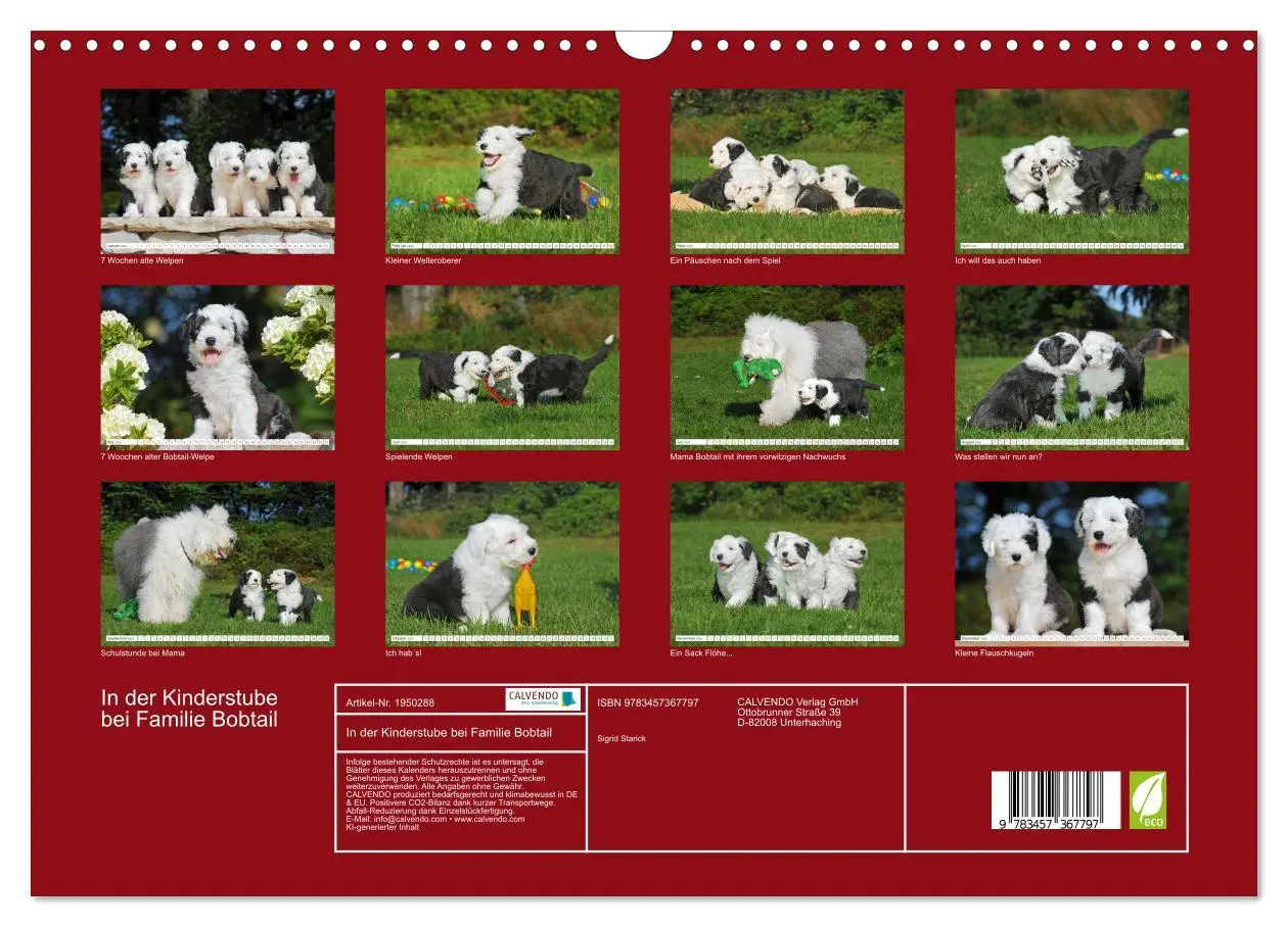 Bild: 9783457367797 | In der Kinderstube bei Familie Bobtail (Wandkalender 2026 DIN A3...
