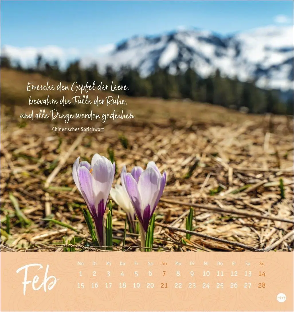 Bild: 9783756417797 | Stille Momente Postkartenkalender 2027 | Heye | Kalender | 13 S.