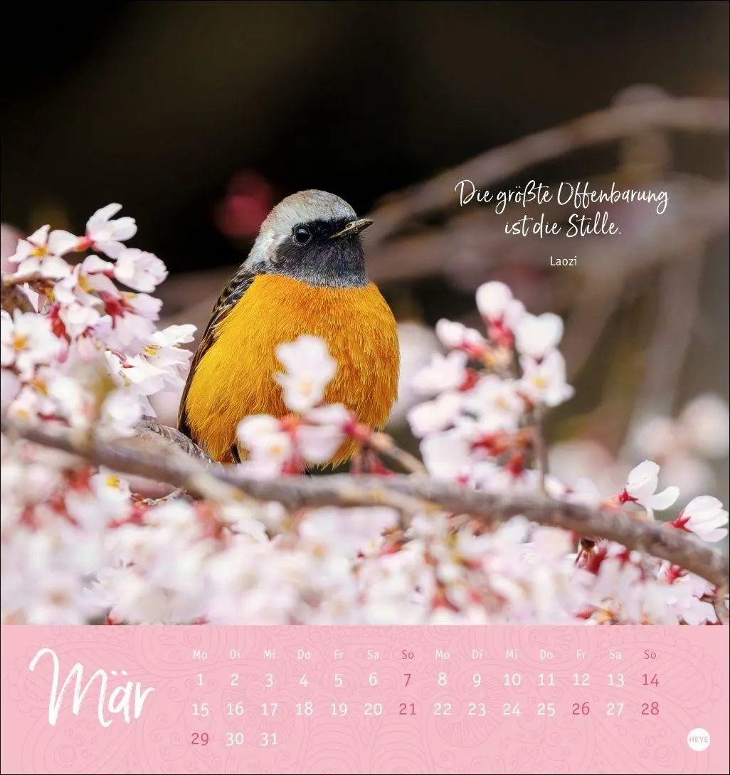 Bild: 9783756417797 | Stille Momente Postkartenkalender 2027 | Heye | Kalender | 13 S.
