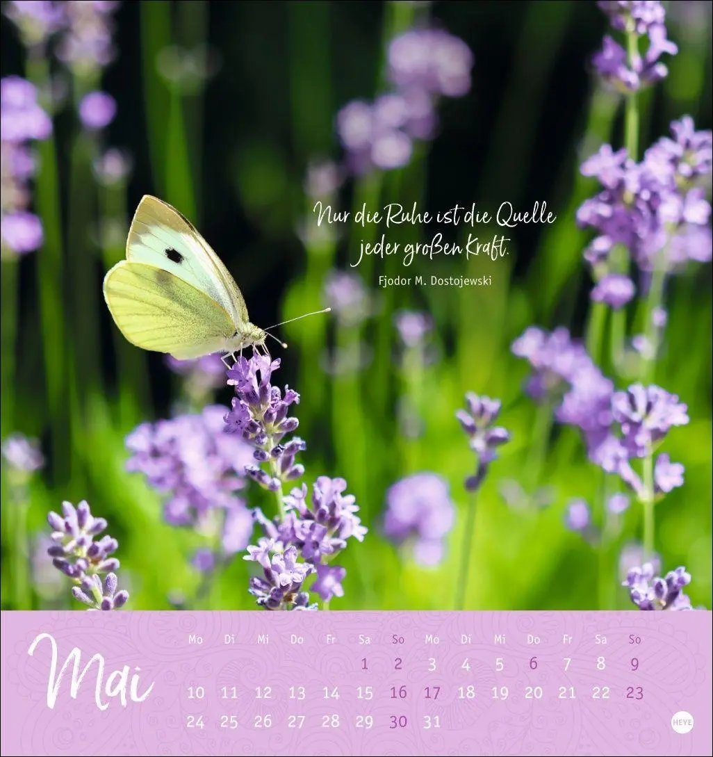 Bild: 9783756417797 | Stille Momente Postkartenkalender 2027 | Heye | Kalender | 13 S.