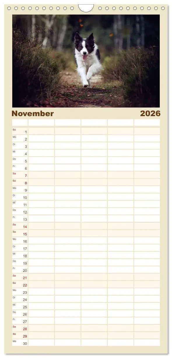 Bild: 9783516517897 | Familienplaner 2026 - Hundeseele mit 5 Spalten (Wandkalender, 21 x...