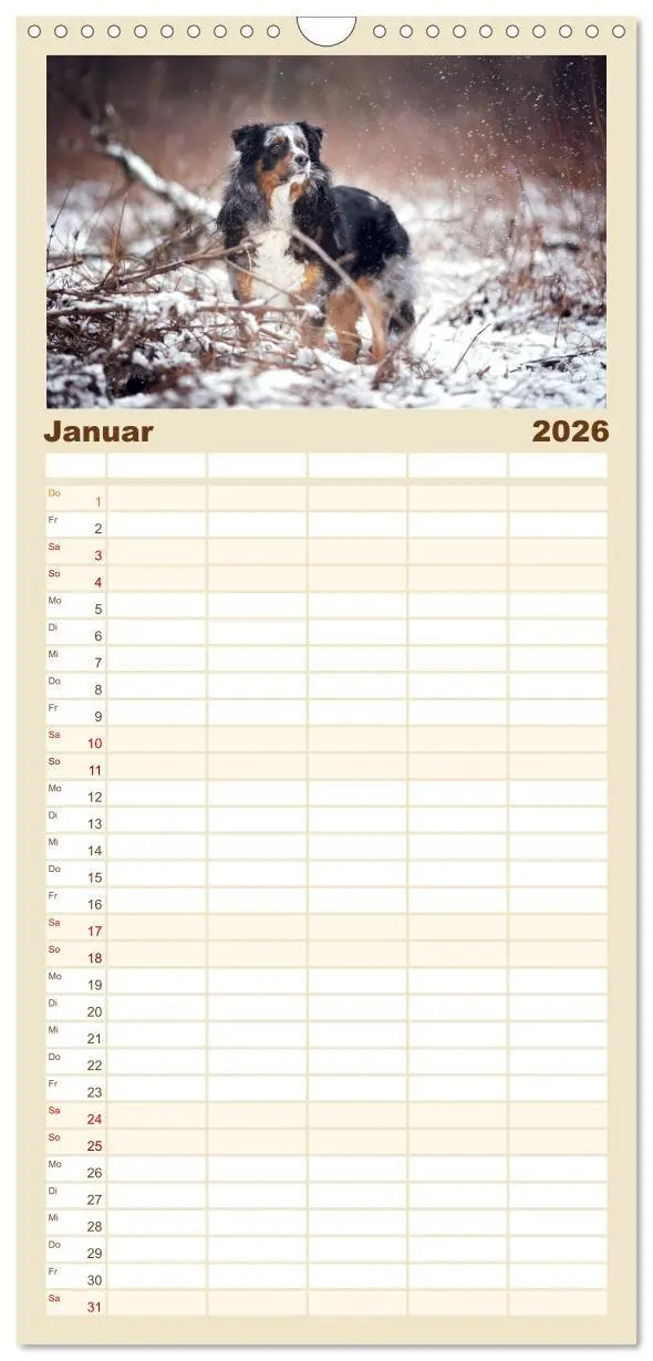 Bild: 9783516517897 | Familienplaner 2026 - Hundeseele mit 5 Spalten (Wandkalender, 21 x...
