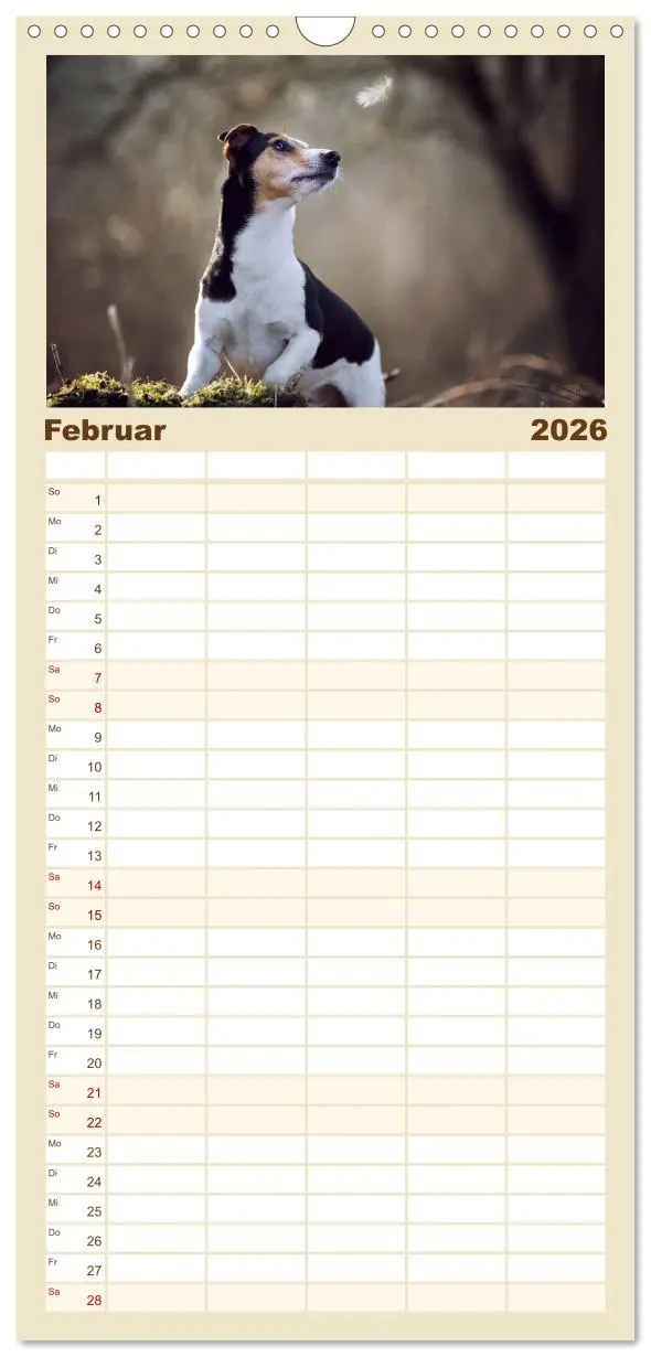 Bild: 9783516517897 | Familienplaner 2026 - Hundeseele mit 5 Spalten (Wandkalender, 21 x...