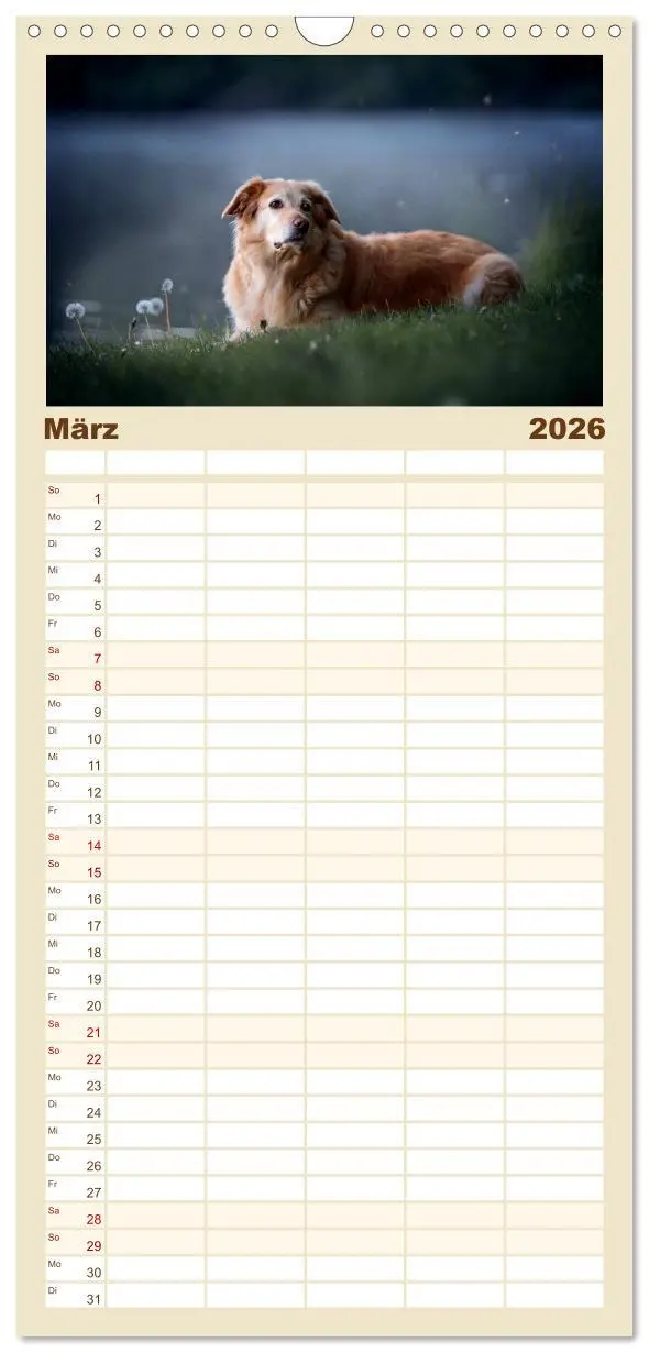 Bild: 9783516517897 | Familienplaner 2026 - Hundeseele mit 5 Spalten (Wandkalender, 21 x...