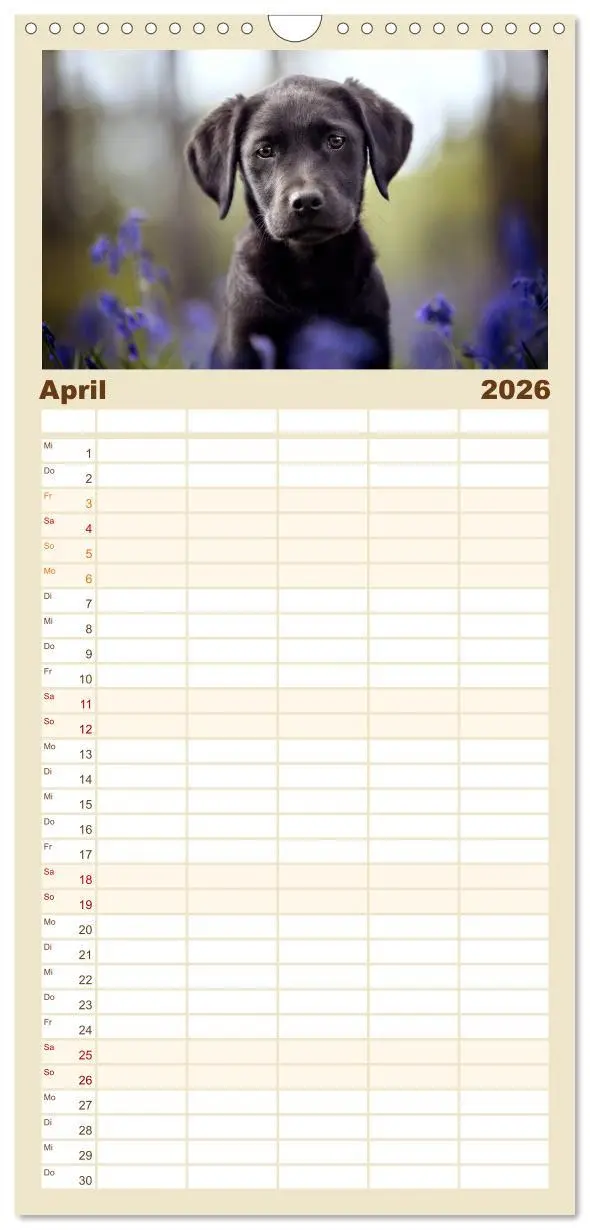 Bild: 9783516517897 | Familienplaner 2026 - Hundeseele mit 5 Spalten (Wandkalender, 21 x...