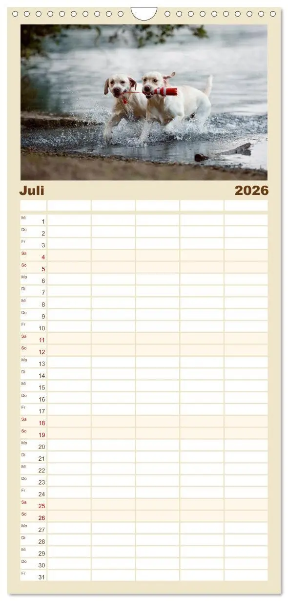 Bild: 9783516517897 | Familienplaner 2026 - Hundeseele mit 5 Spalten (Wandkalender, 21 x...