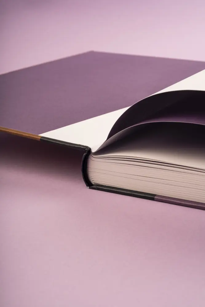 Bild: 9783894877897 | Reid Anderson. Having It | Vom Tänzer zum Intendanten | Buch | 240 S.